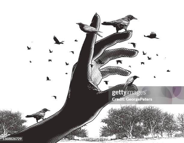 krähen sitzen auf einer hand - vogelschwarm stock-grafiken, -clipart, -cartoons und -symbole