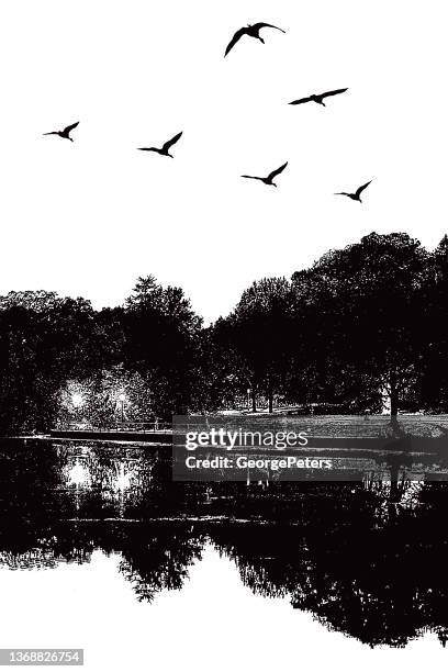 lake with geese flying in v-formation - formation flying stock illustrations