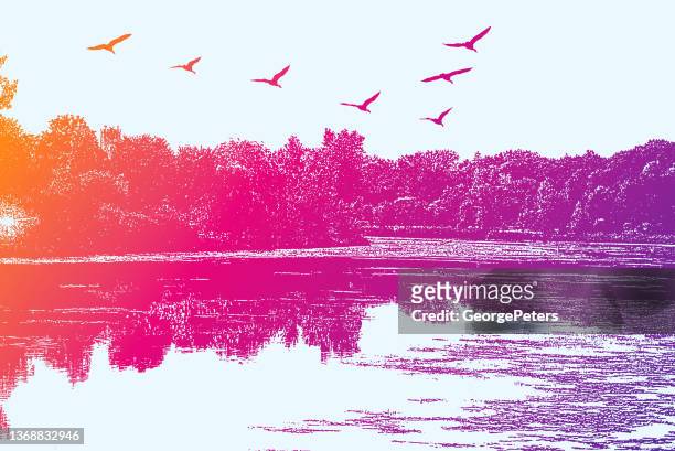 lake with geese flying in v-formation - lake waterfowl stock illustrations