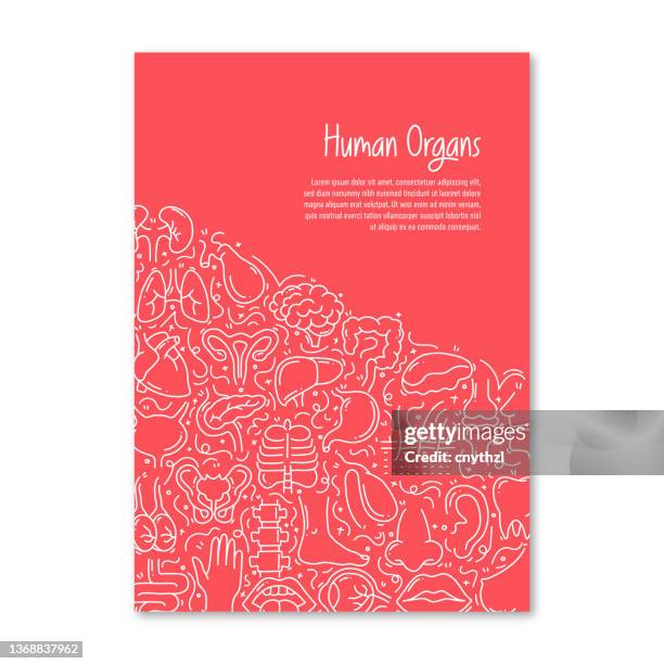 human organs and anatomy related objects and elements. hand drawn vector doodle illustration collection. poster, cover template with different human organs and anatomy objects - thyroid stock illustrations
