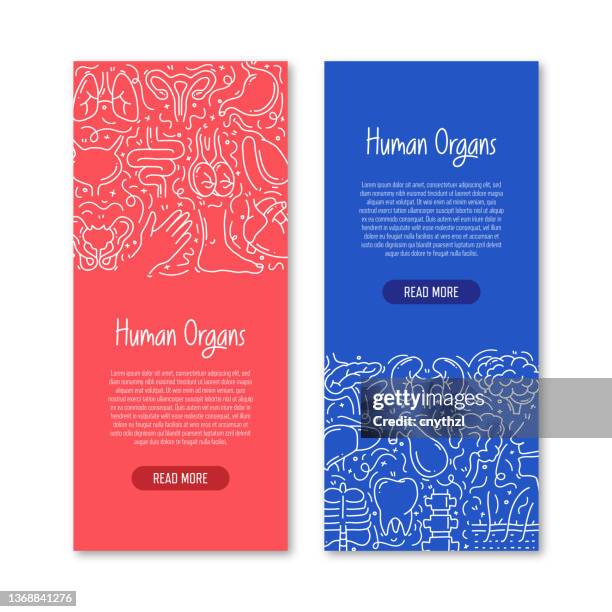 human organs and anatomy related objects and elements. hand drawn vector doodle illustration collection. banner template with different human organs and anatomy objects - internal system stock illustrations