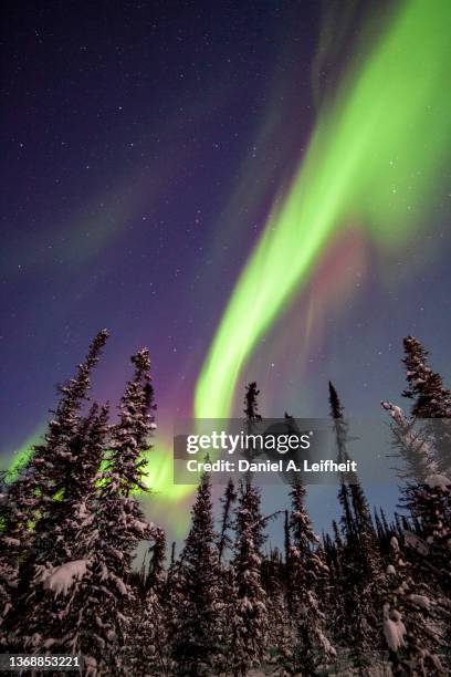 northern lights over alaska - alaska location stockfoto's en -beelden