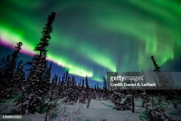 northern lights over alaska - denali national park foto e immagini stock