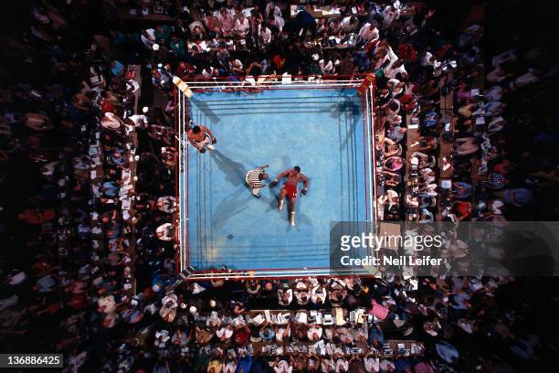 Boxing: WBC/ WBA World Heavyweight Title: Overhead view of George Foreman on canvas during count by referee Zach Clayton after round 8 knockout by...
