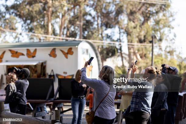 Visitors view Monarch butterflies at Pismo State Beach Monarch Butterfly Grove on February 05, 2022 in Pismo Beach, California. After years of...