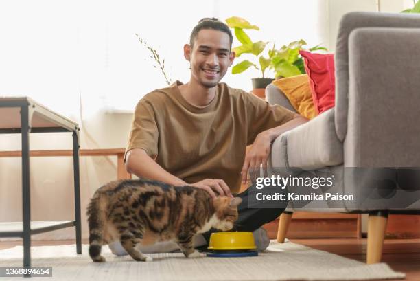 young asian man feeding his cat at home while sitting on the floor. - feeding cat stock pictures, royalty-free photos & images