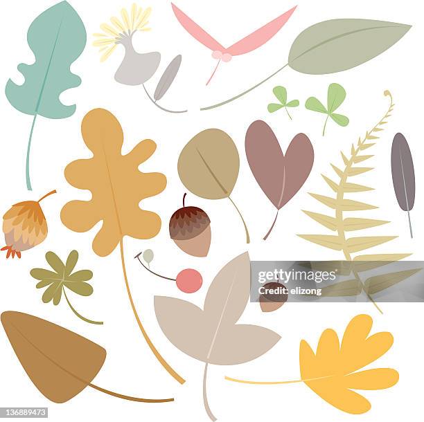 leaves - hazelnut tree stock illustrations
