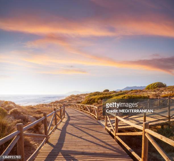 marbella artola dunes and beach in cabopino natural park at suns - beach trail stock pictures, royalty-free photos & images