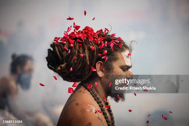 Rose petals are showered on a sadhu as he performs a ritual by burning dried cow dung cakes during the month-long annual Magh Mela festival on...