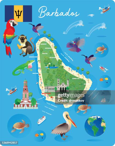 cartoon karte von barbados - animals in the wild stock-grafiken, -clipart, -cartoons und -symbole