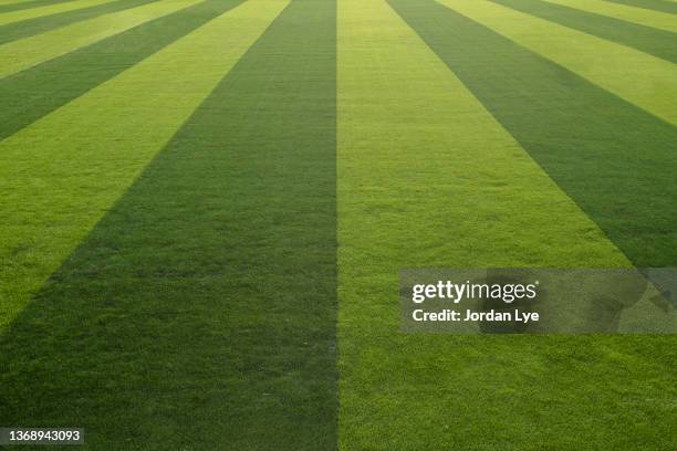 alternating colored turf on the football and soccer field - grünfläche stock-fotos und bilder