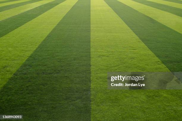 alternating colored turf on the football and soccer field - bon état photos et images de collection