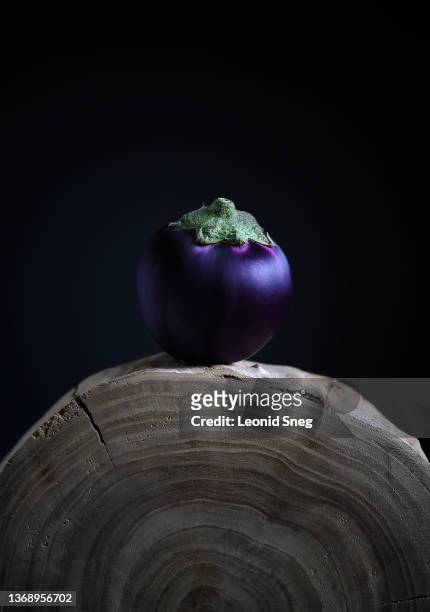 small round eggplant on a tree cut front view on dark background closeup. selective focus - aubergine stock pictures, royalty-free photos & images
