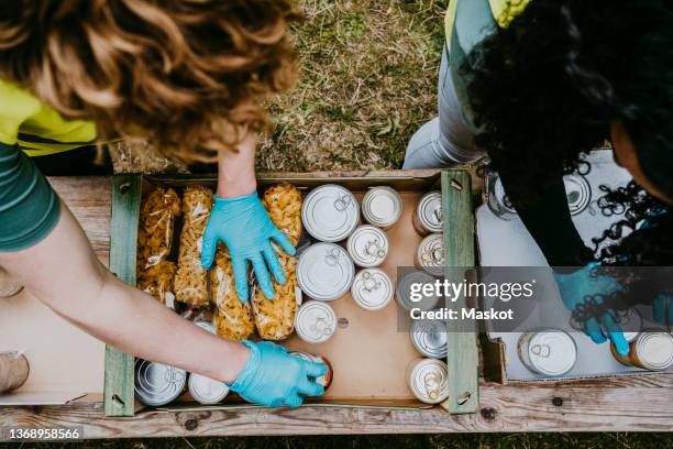 male and female friends arranging food in cardboard boxes - male volunteer stockfoto's en -beelden