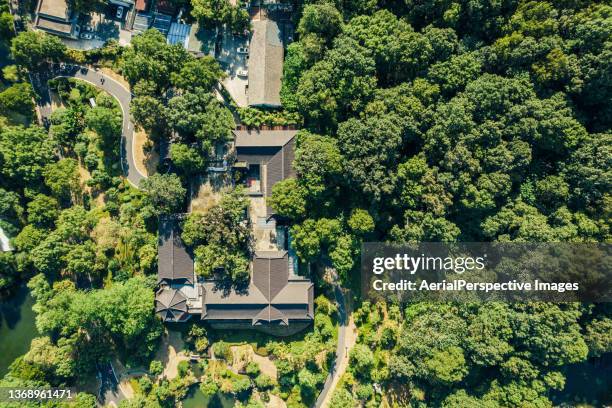 villa in forest - private terrace balcony stock pictures, royalty-free photos & images