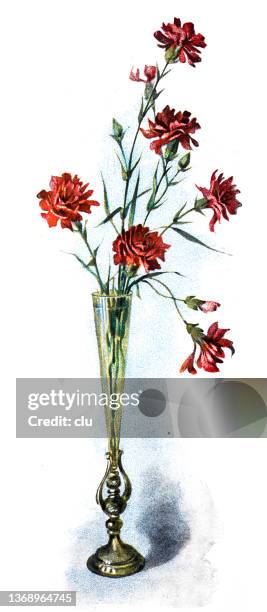 blumenschmuck, nelken in einem spitzen glas - carnation flower stock-grafiken, -clipart, -cartoons und -symbole