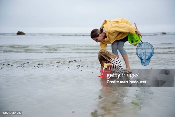 mother and daughter on beach on overcast day. - maine coastline stock pictures, royalty-free photos & images