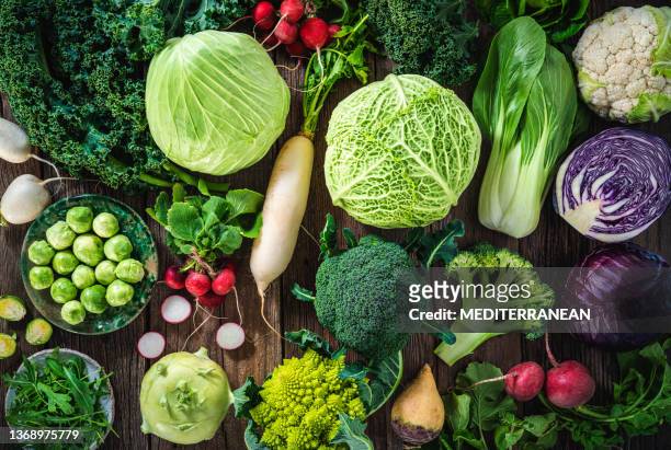 surtido de verduras crucíferas como repollo, brócoli, repollo, nabo, col rizada, romanesco, rábano, rúcula - dieta a base de plantas fotografías e imágenes de stock