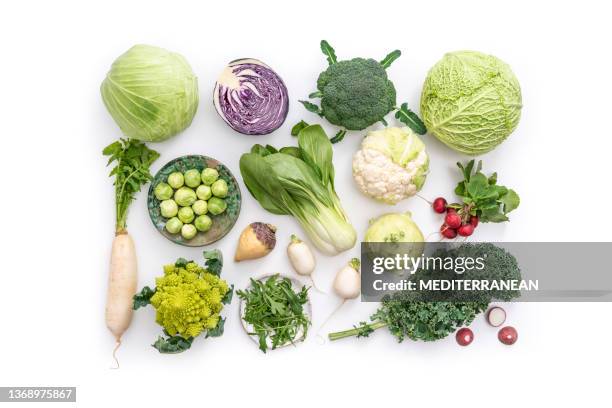 crucifers vegetables assortment as cabbage, broccoli, cabbage, turnip, kale, romanesco, radish, arugula - levend organisme stockfoto's en -beelden