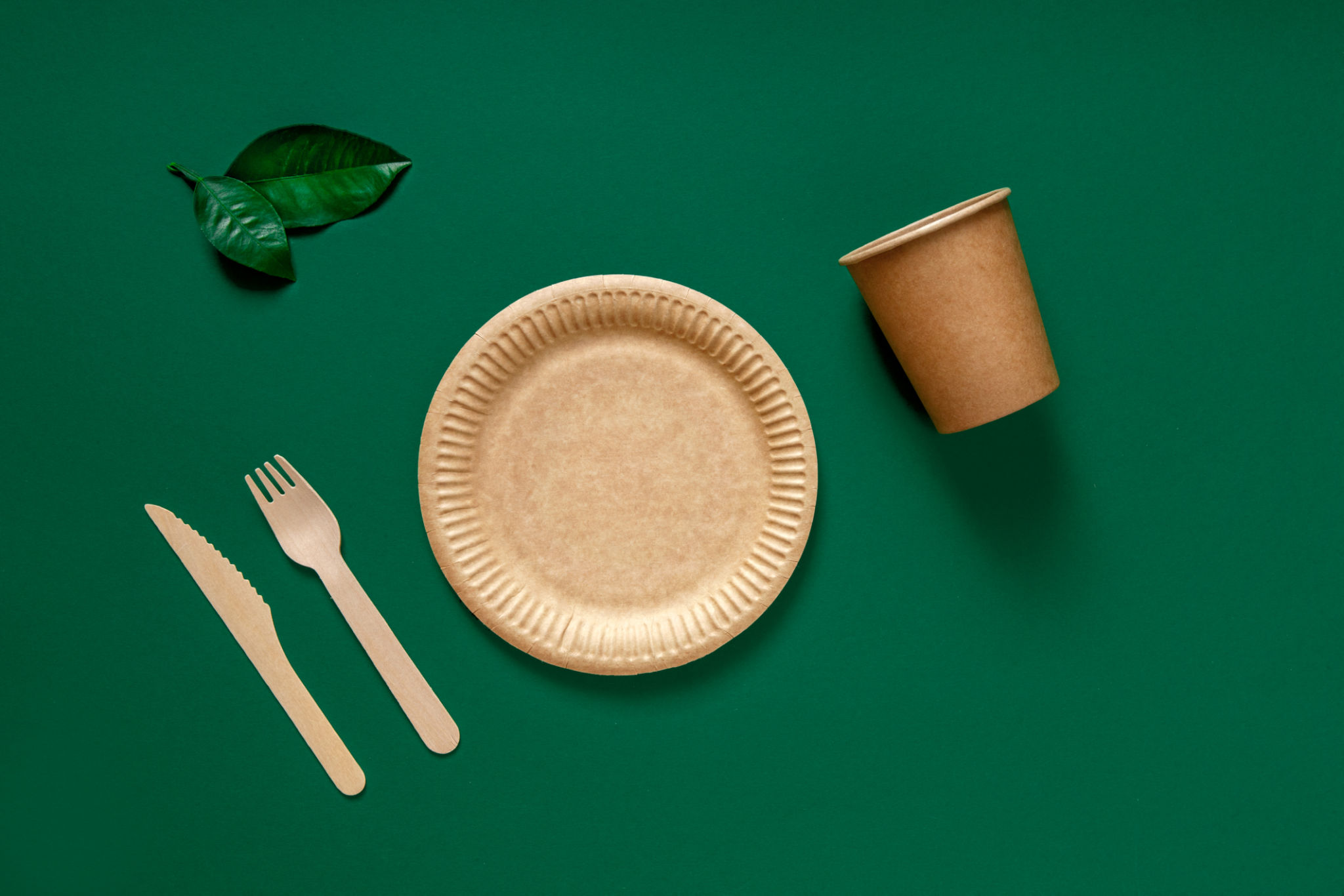 Eco-friendly disposable tableware for food with forks, knives and plates over green background. Top view Eco-friendly disposable tableware for food with forks, knives and plates over green background. Top view