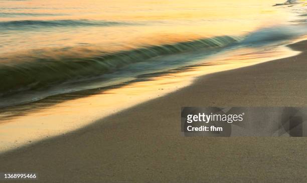 waves at the beach at sunset - backdrop projection of beach stock pictures, royalty-free photos & images
