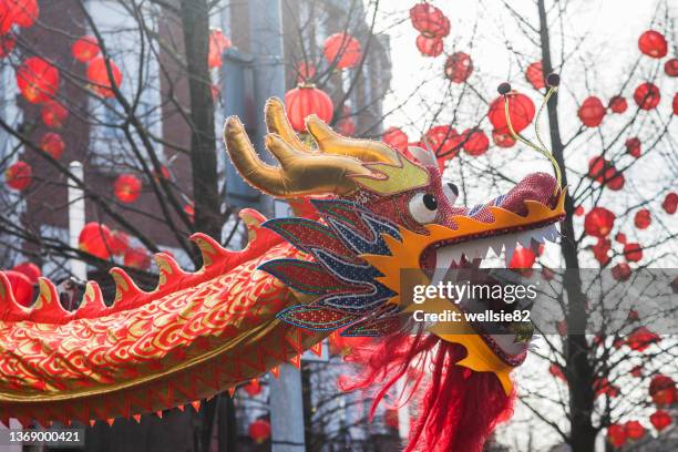 dragon dance under red lanterns - dragon dance stock-fotos und bilder