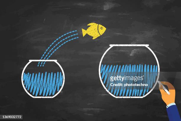 goldfish jumping out of the water on blackboard background - new guidance stock illustrations