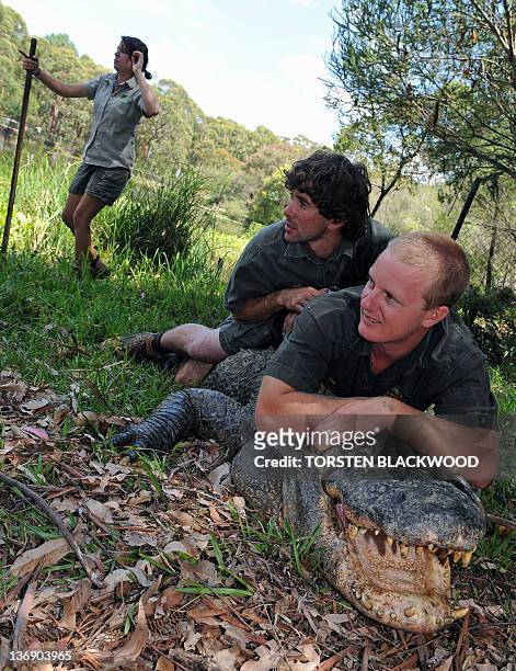 Julie Mendezona keeps watch as reptile keepers Brad Gabriel and Chris Wallace try to control American alligator 'Mr Skinny' while alligator eggs are...