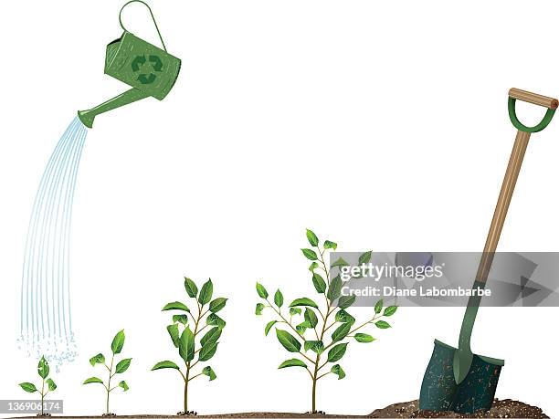 arbor day concept image with watering can and sprouting plants - sapling stock illustrations