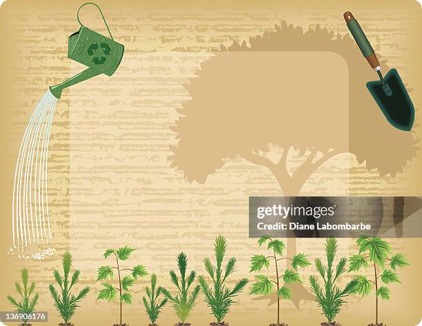 arbor day background - arbor day stock illustrations