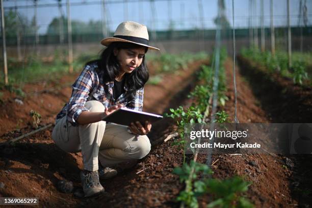 female farm worker using digital tablet in greenhouse - sustainable farming india stock pictures, royalty-free photos & images