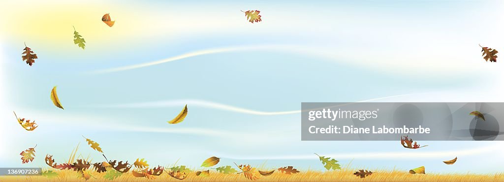Windy Springfeild Windy Day High-Res Vector Graphic - Getty Images