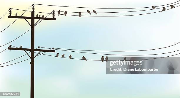 birds perched on a old telephone wire pastel sky background - telephone line stock illustrations