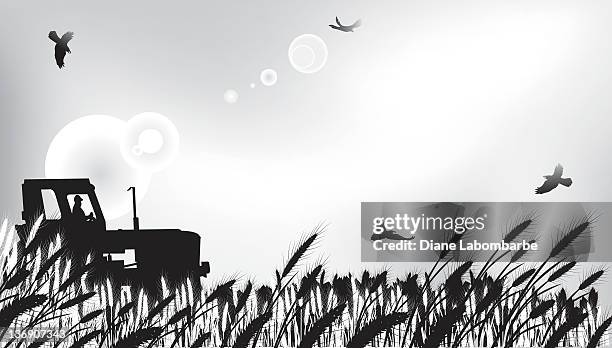tractor in a wheat field - old tractor stock illustrations