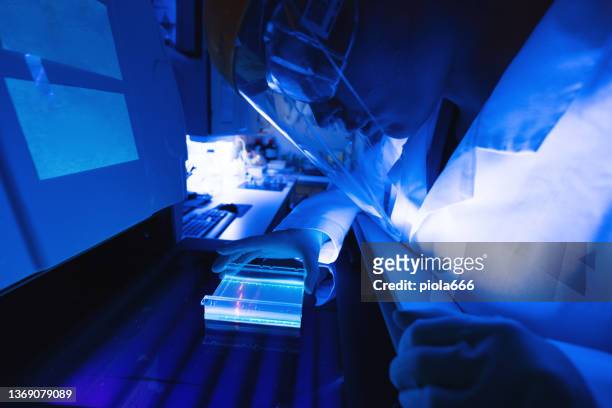 genetic molecular laboratory: dna research to isolate virus variants - despistagem genética imagens e fotografias de stock
