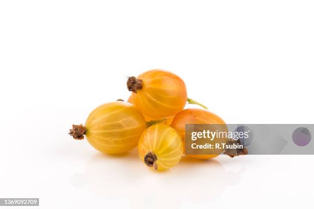 fresh juicy gooseberry isolated on a white background - uva spina foto e immagini stock