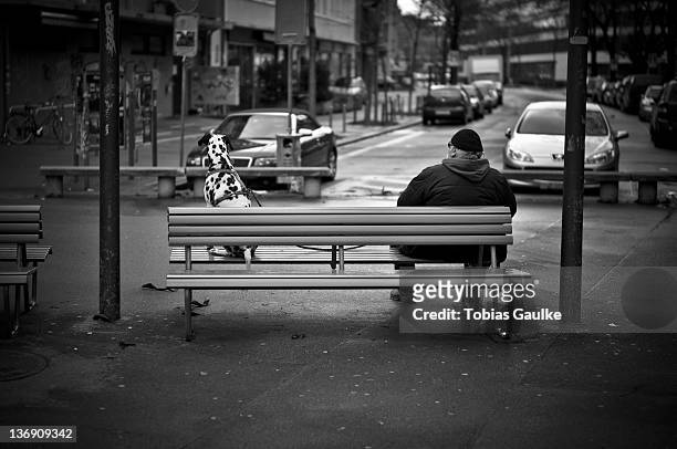 man and his dog sitting on bench - tobias gaulke fotografías e imágenes de stock