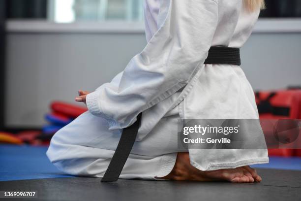 martial art tranquility - taekwando stockfoto's en -beelden