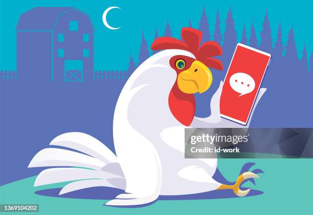 rooster sitting on ground and looking at smartphone - chicken cartoons stock illustrations