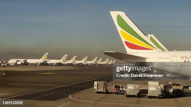 Ethiopian Airlines passenger line both sides of the tarmac on February 4, 2022 at Bole International Airport in Addis Ababa, Ethiopia. Last year,...