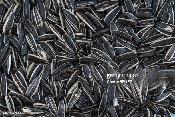 black sunflower seeds full frame view - sonnenblumenkern stock-fotos und bilder