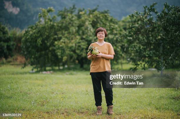 happy asian chinese female farmer looking at camera smiling holding pomelo harvested from plantation - chinese people posing for camera stockfoto's en -beelden