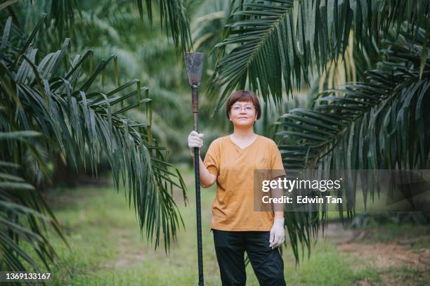 portrait asian chinese female palm tree plantation owner working at her plantation farm - oil palm imagens e fotografias de stock