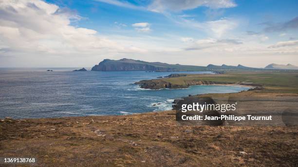 coastal landscape in northern dingle peninsula, western ireland - dingle peninsula bildbanksfoton och bilder