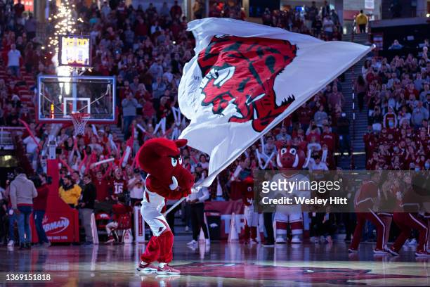 Mascot Big Red of the Arkansas Razorbacks performs during a game against the Mississippi State Bulldogs at Bud Walton Arena on February 05, 2022 in...