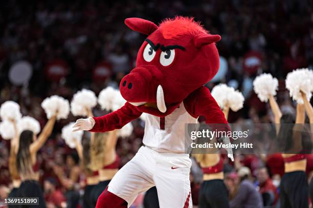 Mascot Big Red of the Arkansas Razorbacks performs during a game against the Mississippi State Bulldogs at Bud Walton Arena on February 05, 2022 in...