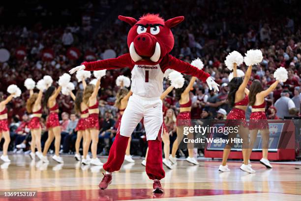 Mascot Big Red of the Arkansas Razorbacks performs during a game against the Mississippi State Bulldogs at Bud Walton Arena on February 05, 2022 in...