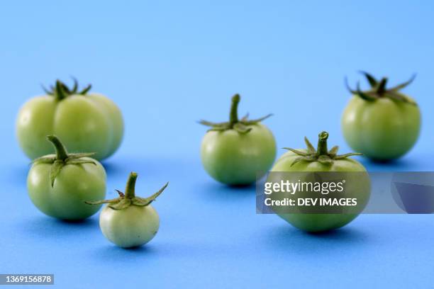 raw green tomatoes on blue background - unripe stock pictures, royalty-free photos & images