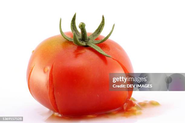 crushed tomato on white background - crushed photos et images de collection