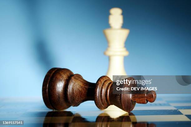 7,700+ Checkmate Stock Photos, Pictures & Royalty-Free Images